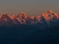 Niederhorn