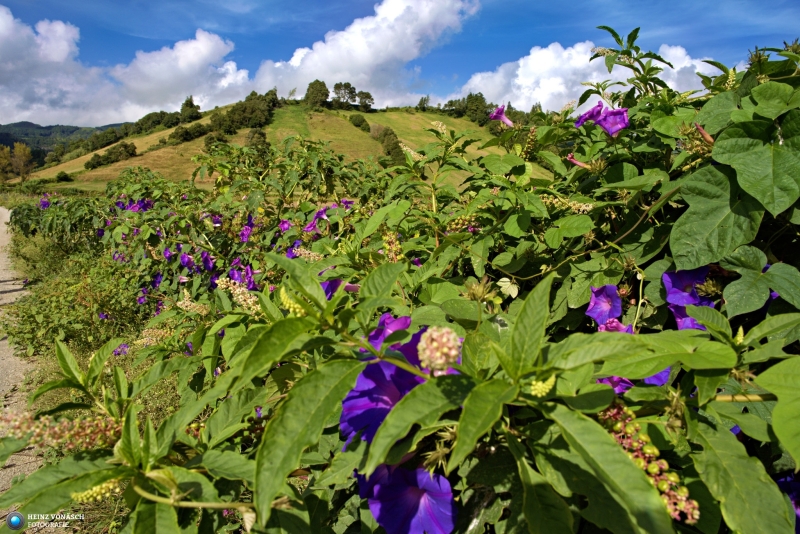 Azoren_202409_0003 Azoren_202409_0003