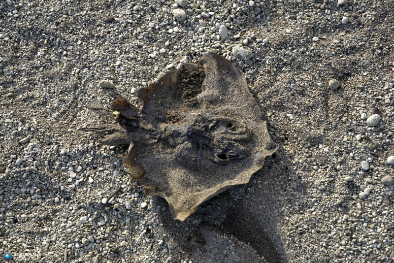 Azoren_202409_0015 Azoren_202409_0015