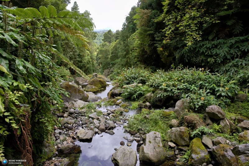 Azoren_202409_0045 Azoren_202409_0045