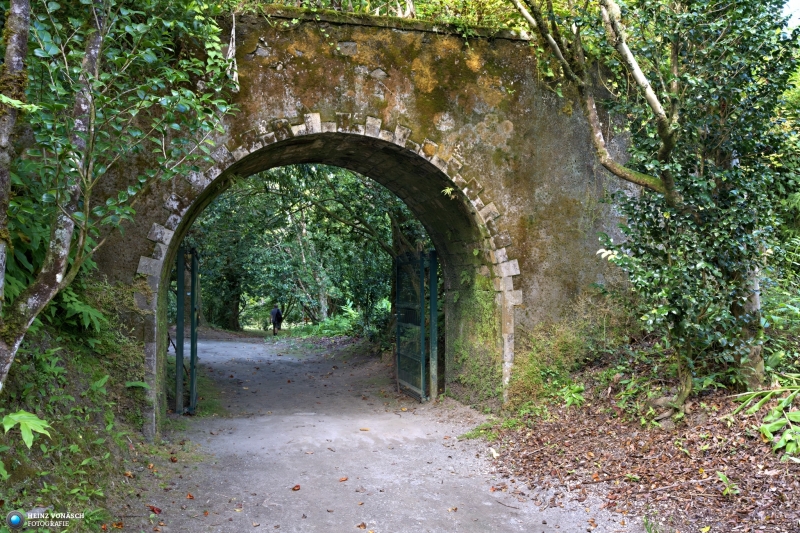 Azoren_202409_0062 Azoren_202409_0062