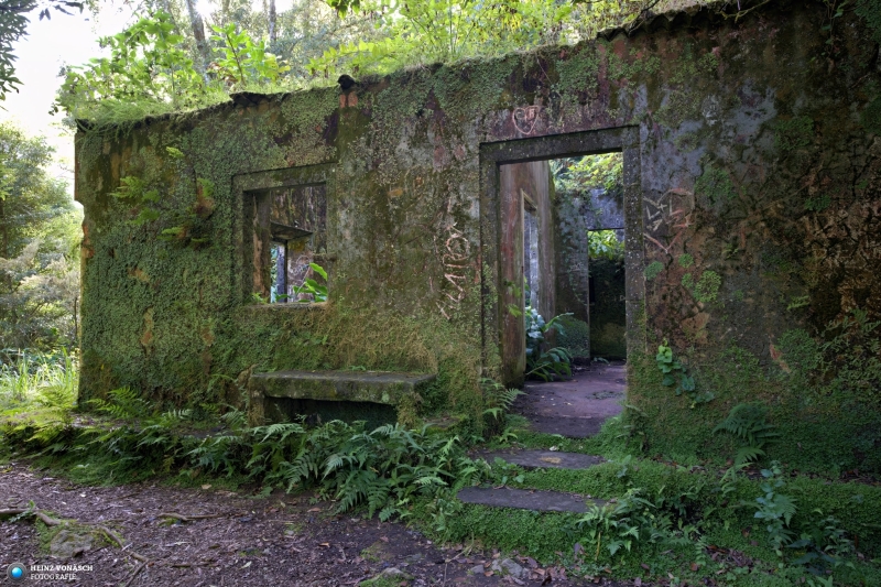 Azoren_202409_0072 Azoren_202409_0072