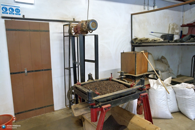 Azoren_202409_0103 Azoren_202409_0103