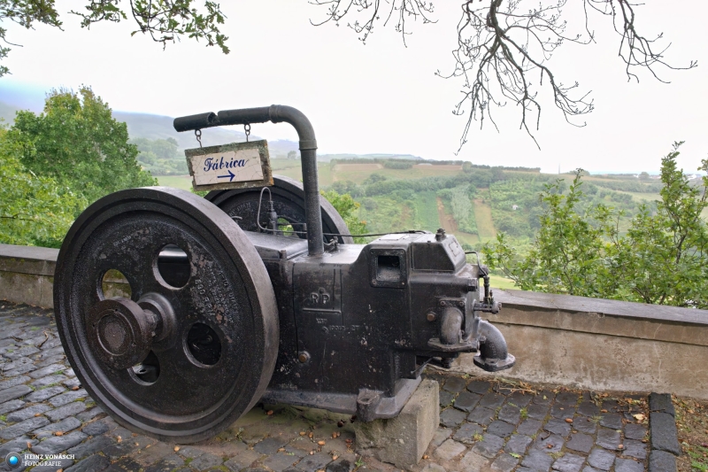 Azoren_202409_0117 Azoren_202409_0117