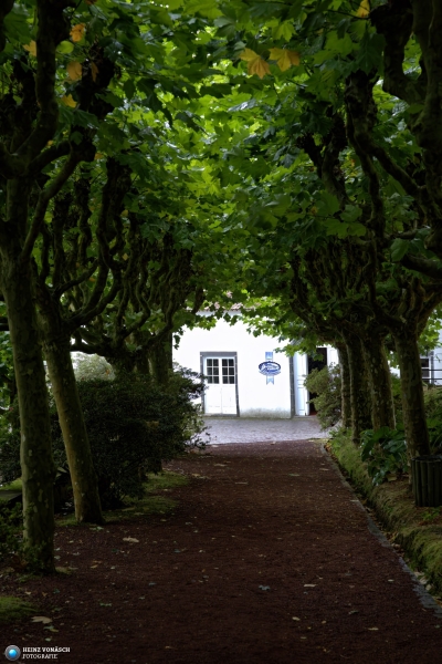 Azoren_202409_0120 Azoren_202409_0120