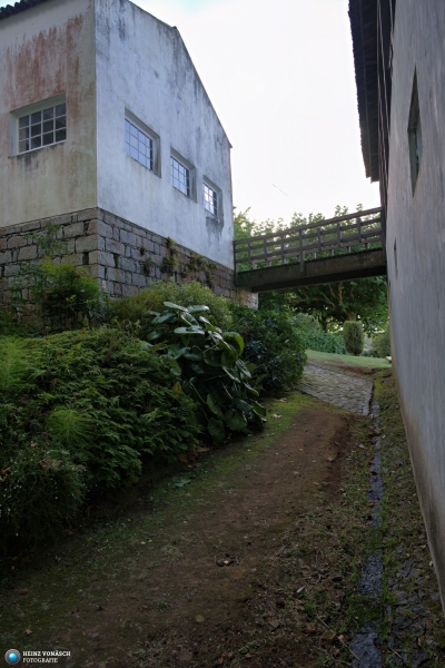 Azoren_202409_0133 Azoren_202409_0133