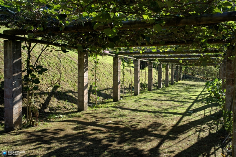 Azoren_202409_0136 Azoren_202409_0136