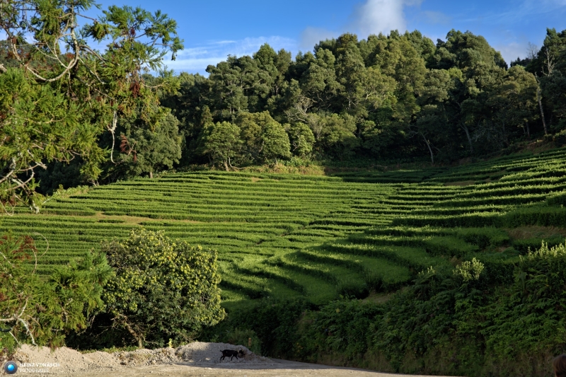Azoren_202409_0144 Azoren_202409_0144