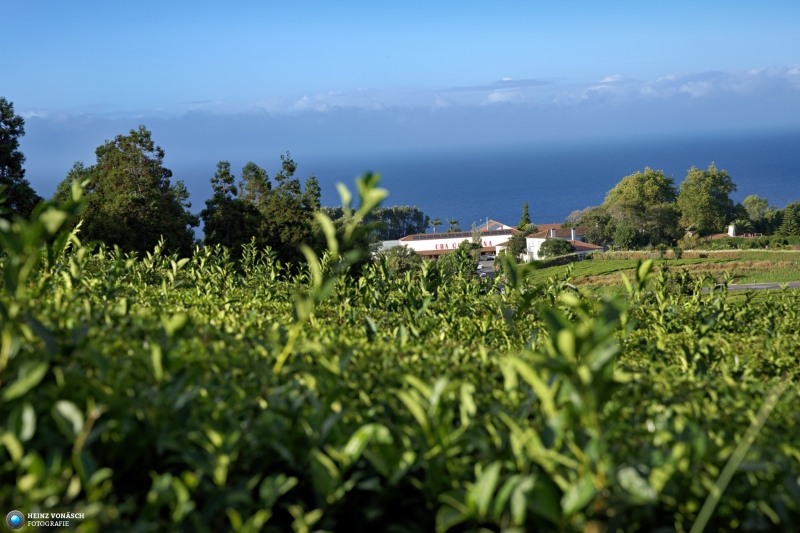 Azoren_202409_0147 Azoren_202409_0147