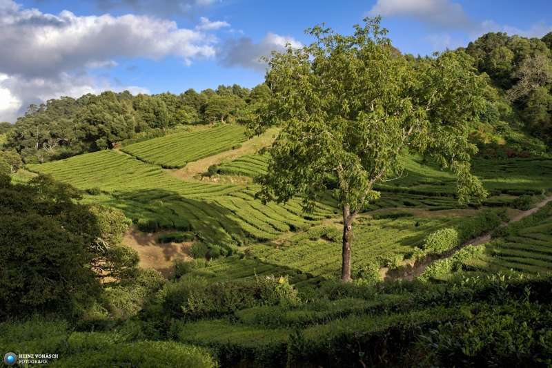 Azoren_202409_0160 Azoren_202409_0160