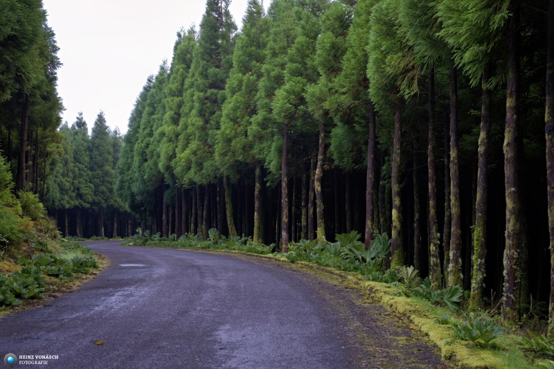 Azoren_202409_0169 Azoren_202409_0169