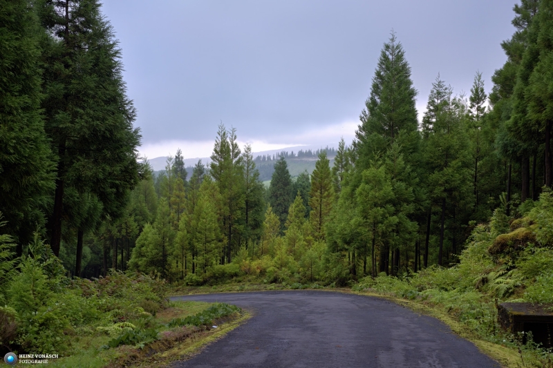 Azoren_202409_0173 Azoren_202409_0173