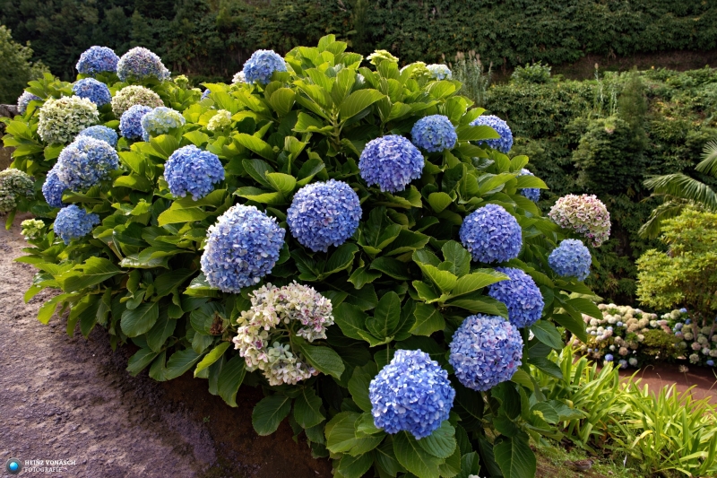 Azoren_202409_0225 Azoren_202409_0225
