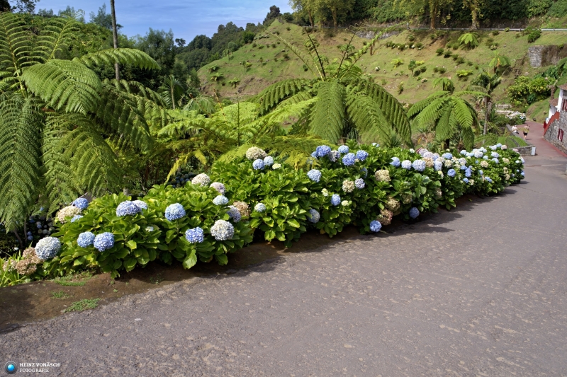 Azoren_202409_0226 Azoren_202409_0226