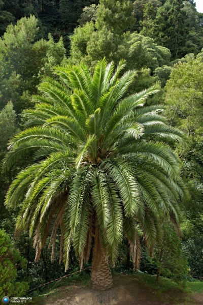 Azoren_202409_0231 Azoren_202409_0231
