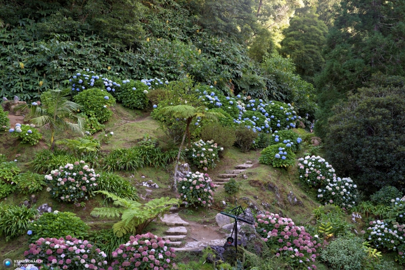 Azoren_202409_0249 Azoren_202409_0249