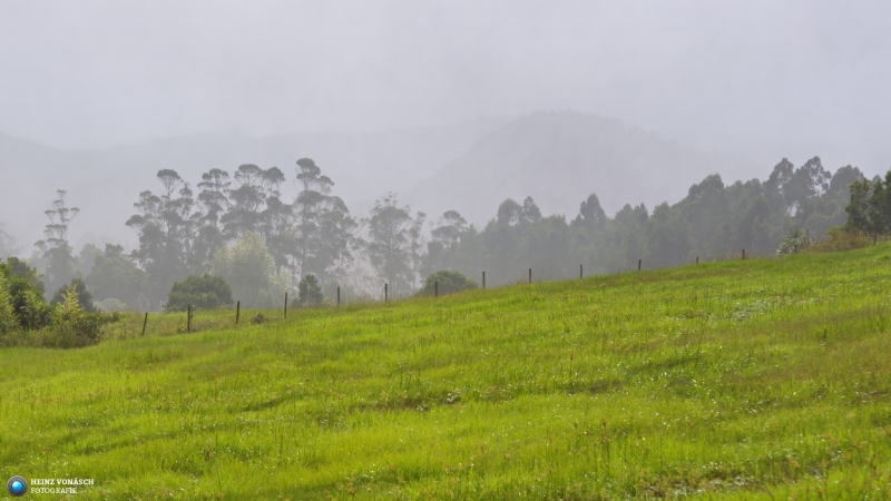 Azoren_202409_0263 Azoren_202409_0263