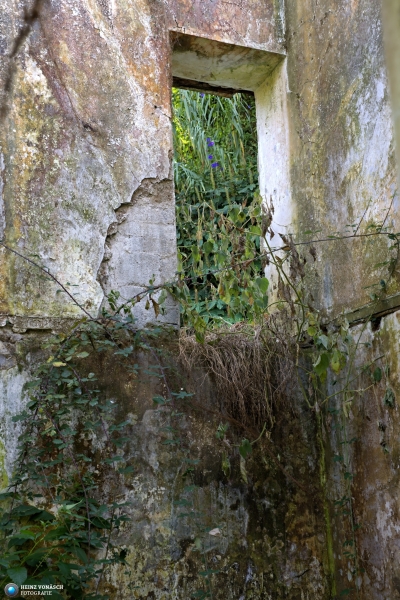 Azoren_202409_0267 Azoren_202409_0267