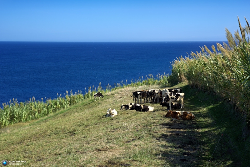 Azoren_202409_0332 Azoren_202409_0332