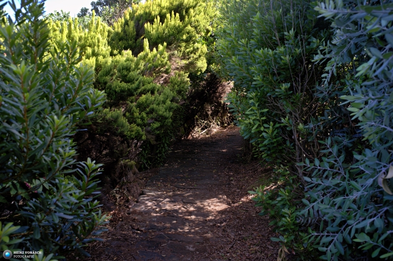 Azoren_202409_0339 Azoren_202409_0339