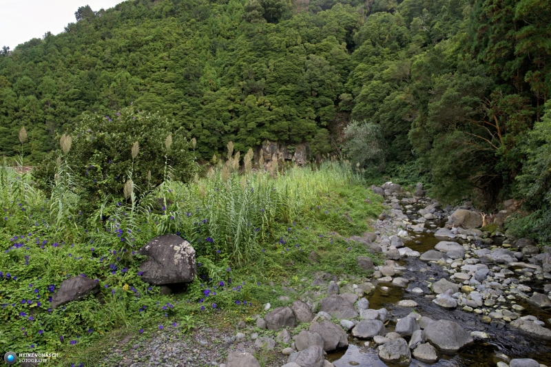 Azoren_202409_0350 Azoren_202409_0350