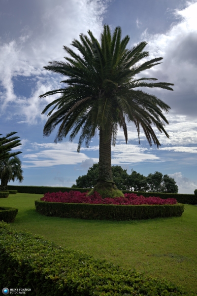 Azoren_202409_0376 Azoren_202409_0376