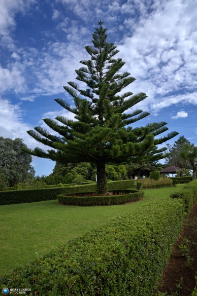 Azoren_202409_0377 Azoren_202409_0377