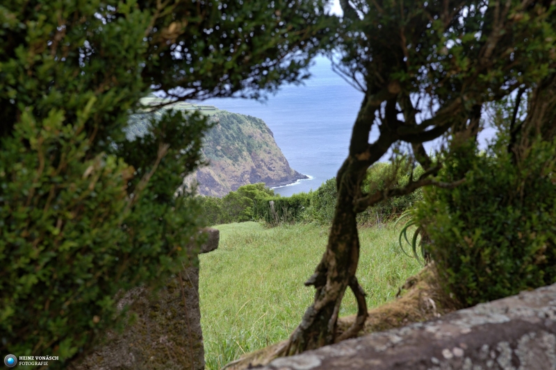 Azoren_202409_0385 Azoren_202409_0385