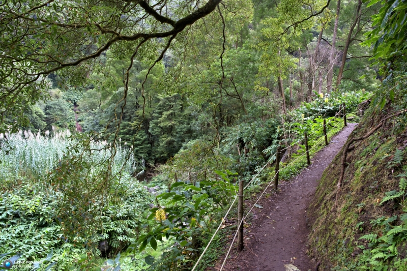 Azoren_202409_0455 Azoren_202409_0455