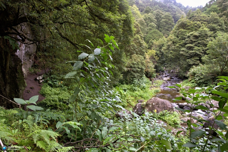 Azoren_202409_0456 Azoren_202409_0456