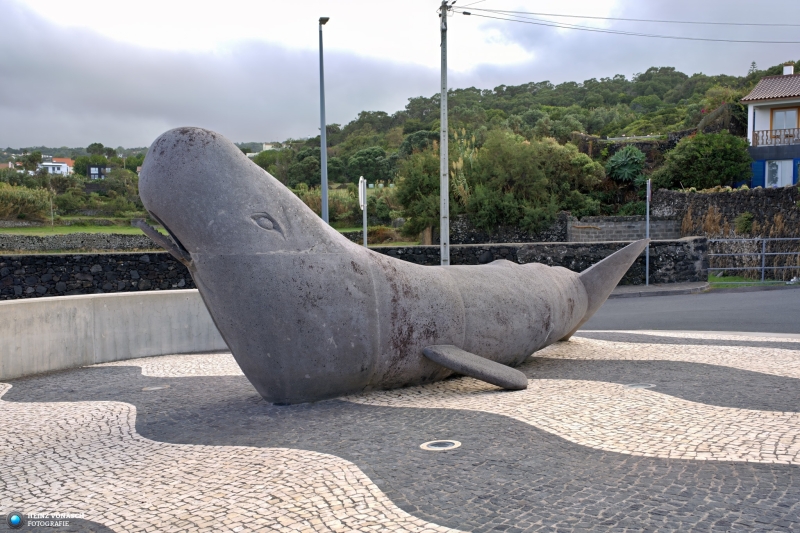 Azoren_202409_0488 Azoren_202409_0488