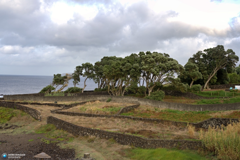 Azoren_202409_0494 Azoren_202409_0494