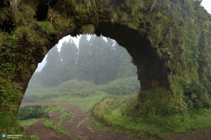 Azoren_202409_0601 Azoren_202409_0601