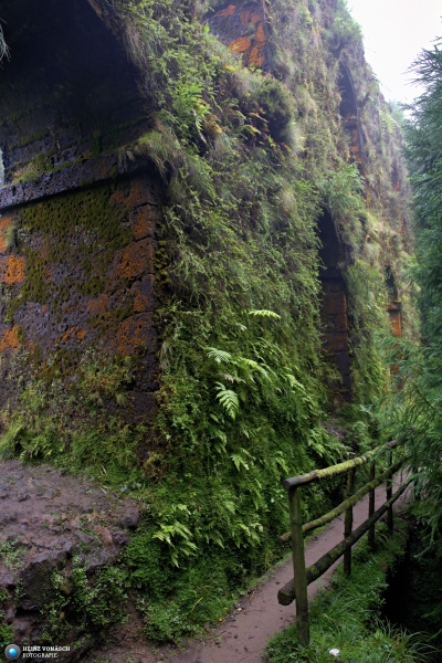 Azoren_202409_0604 Azoren_202409_0604