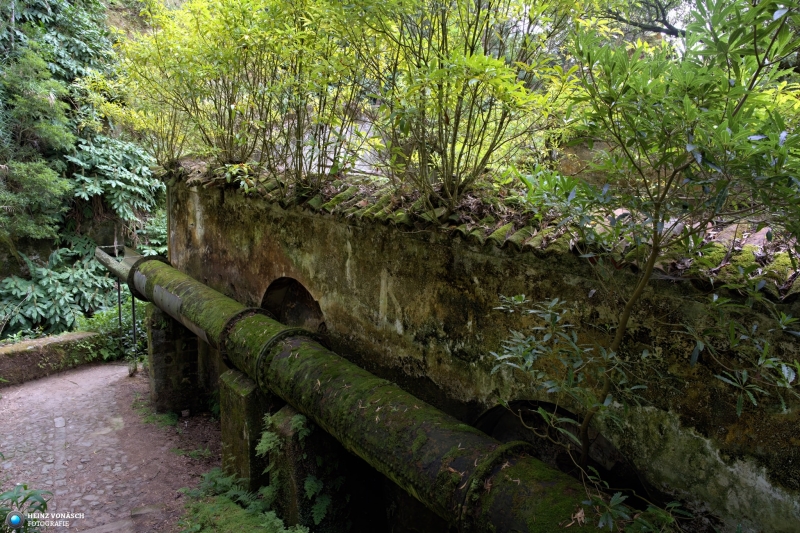 Azoren_202409_0615 Azoren_202409_0615
