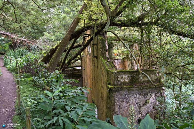 Azoren_202409_0630 Azoren_202409_0630
