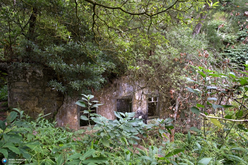 Azoren_202409_0632 Azoren_202409_0632