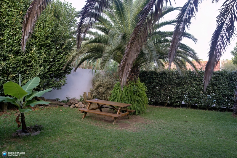 Azoren_202409_0669 Azoren_202409_0669