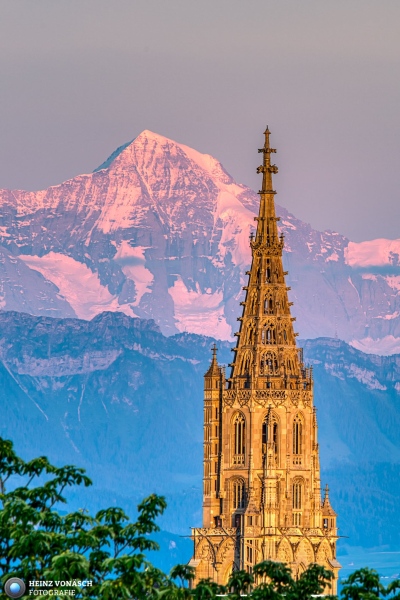 Berner Münster
