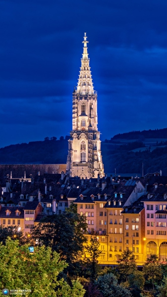 Berner Münster