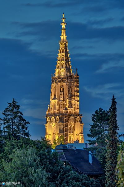 Berner Münster