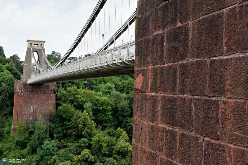 Bristol 29