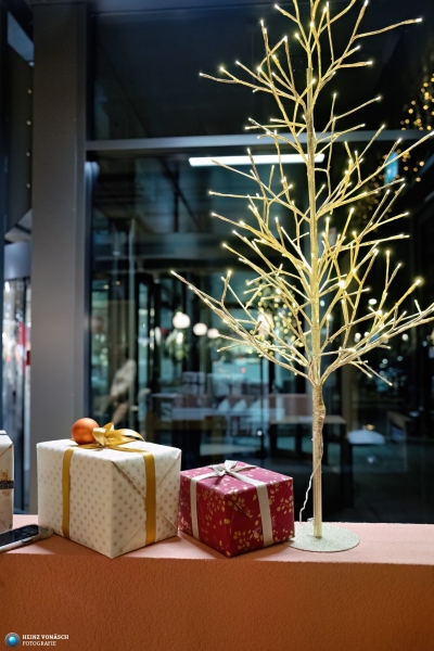Ladyversum XMAS Ho Ho 6