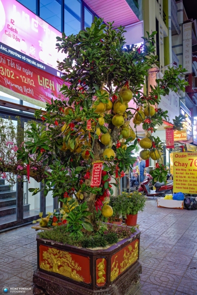 Saigon_2024-02_0118