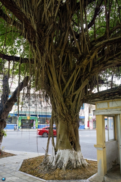 Hue_2024-02_0008