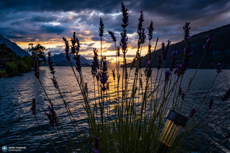 Thunersee Thunersee