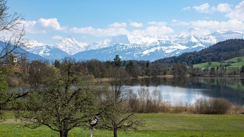 Amsoldingersee Amsoldingersee