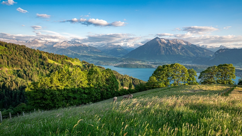 Berner Oberland, Niesen Berner Oberland, Niesen