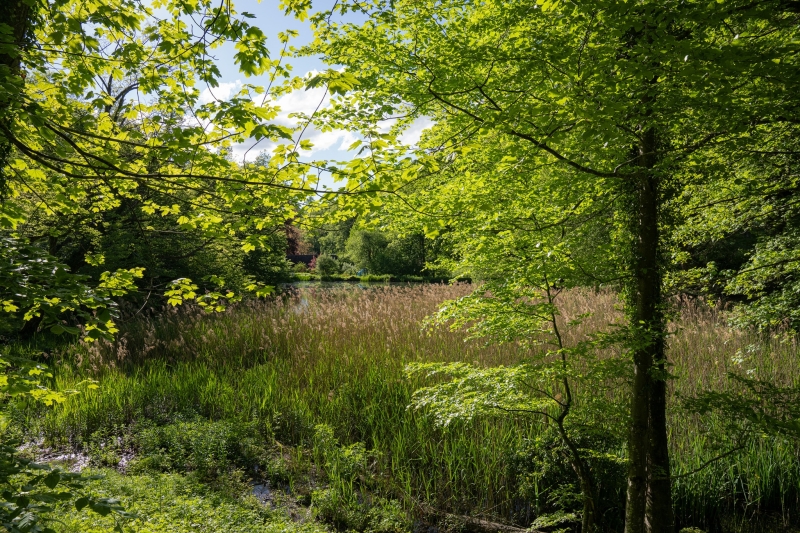 Arlesheim Naturschutzgebiet Eremitage Arlesheim Naturschutzgebiet Eremitage