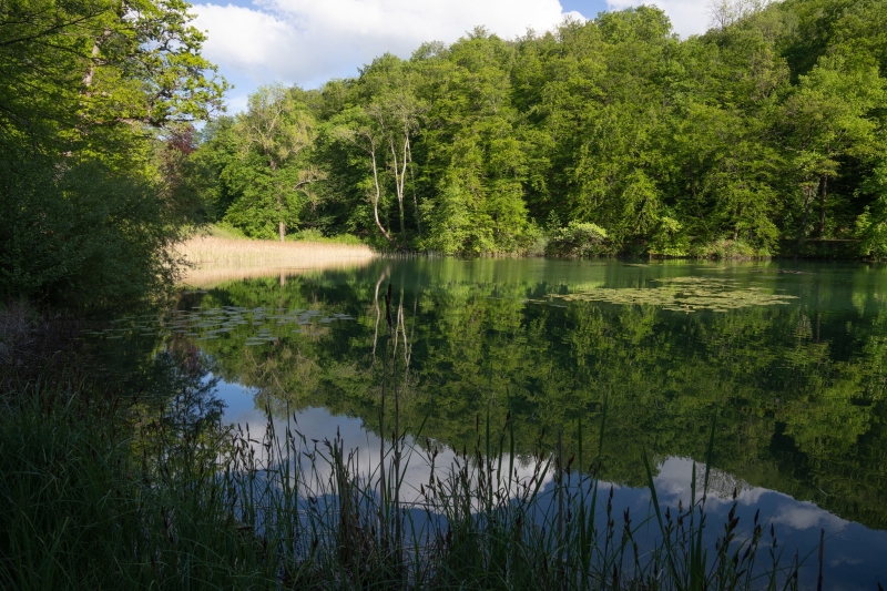 Arlesheim Naturschutzgebiet Eremitage Arlesheim Naturschutzgebiet Eremitage